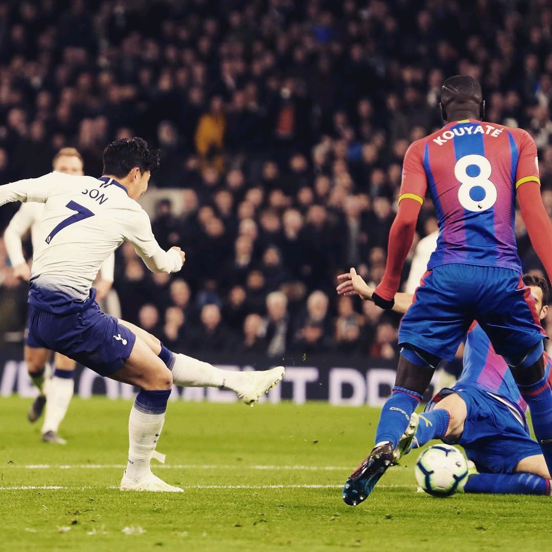 定阵容是收 定阵容是收